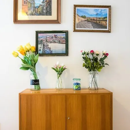 Apartment Stylish 3bdr On Wenceslas Square